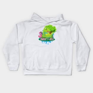 Dinosaur birthday, three rex, third birthday boy Kids Hoodie